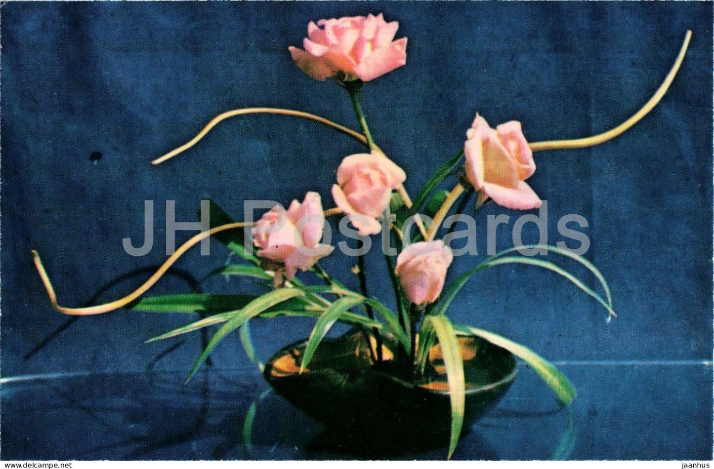 Queen Elizabeth roses - flower arrangement - ikebana - botanical - 1979 - Moldova - USSR - unused - JH Postcards