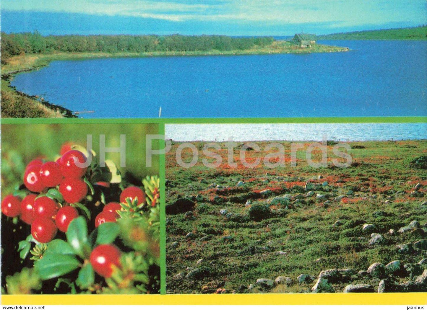 Solovetsky Anzer Island - Rescue Station - Labyrinth - cowberry - plants postal stationery - 1989 - Russia USSR - unused - JH Postcards