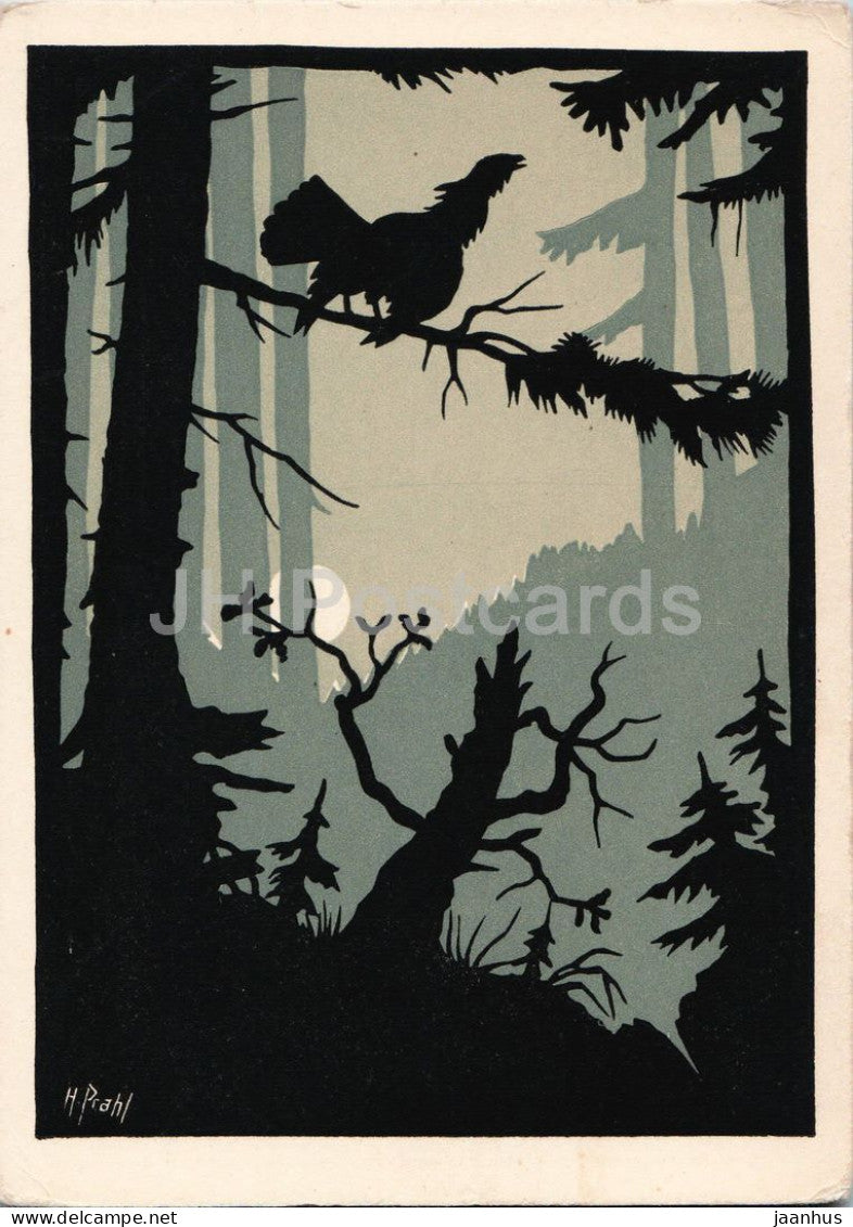 papercut by Hugo Prahl - Capercaillie - Auerhahn - Im Wald und auf der Heide - birds - German art - Germany - unused - JH Postcards