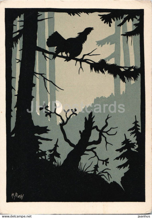 papercut by Hugo Prahl - Capercaillie - Auerhahn - Im Wald und auf der Heide - birds - German art - Germany - unused - JH Postcards