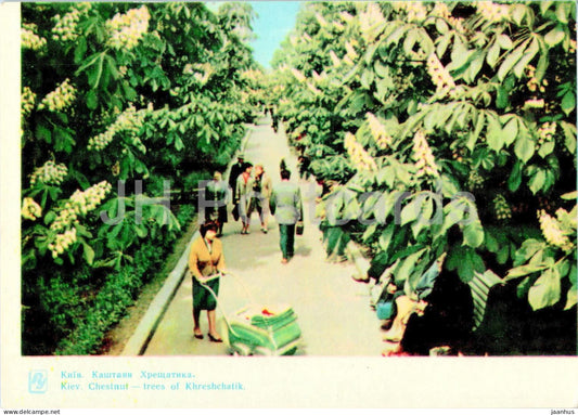 Kyiv - Chestnut trees of Khreshchatyk - 1964 - Ukraine USSR - unused - JH Postcards