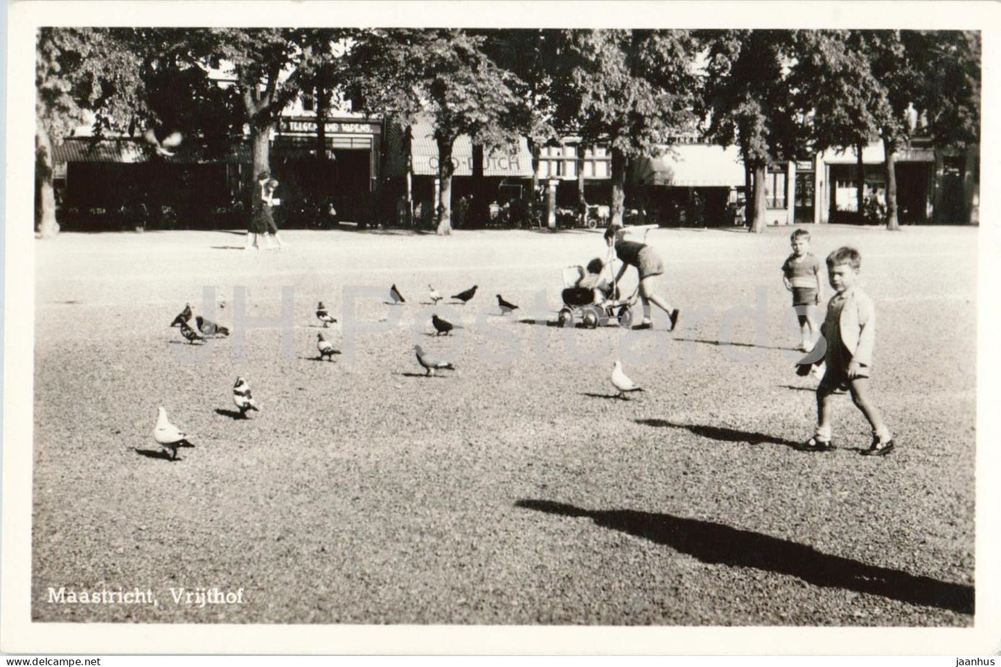 Maastricht Vrijthof - city square - children - pigeons - birds - old postcard - 1950s - Netherlands - unused - JH Postcards