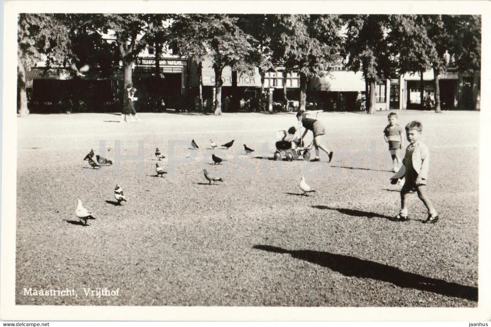 Maastricht Vrijthof - city square - children - pigeons - birds - old postcard - 1950s - Netherlands - unused - JH Postcards