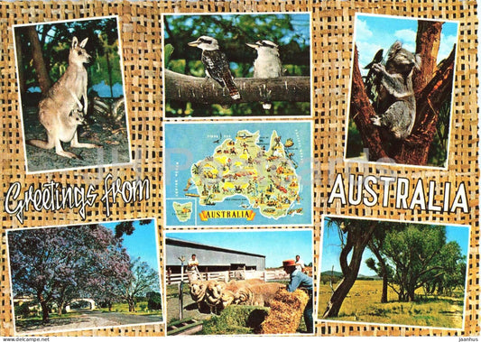 Greetings from Australia - kangaroo - koala - map - sheep farm - animals - multiview - 1969 - Australia - used - JH Postcards
