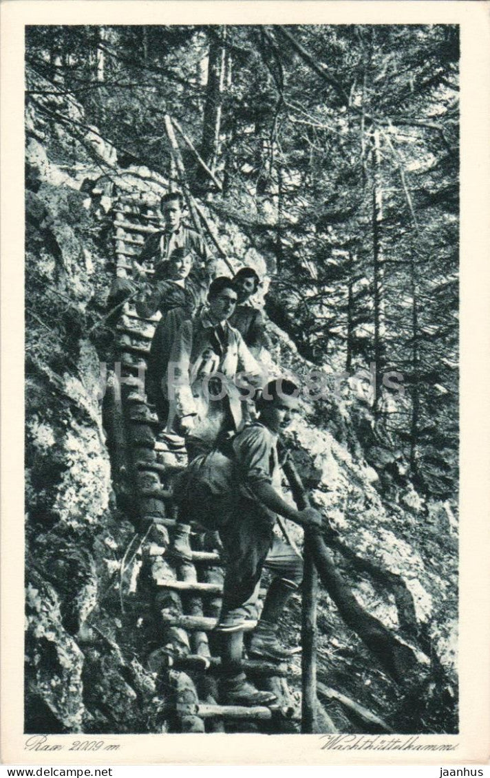 Rax 2009 m - Wachthuttelkamm - 21558 - 1923 - Austria - unused - JH Postcards