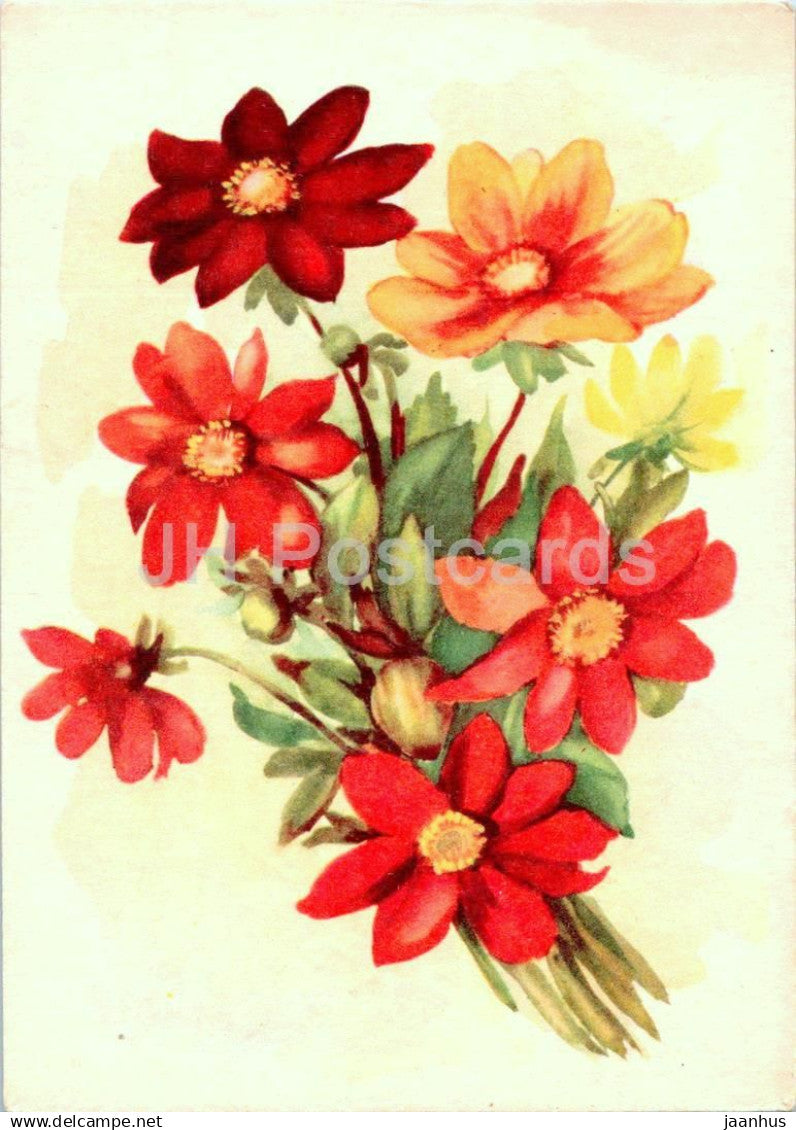Birthday Greeting Card by L. Mei-Starkopf - Dahlias - flowers - illustration - 1963 - Estonia USSR - used - JH Postcards