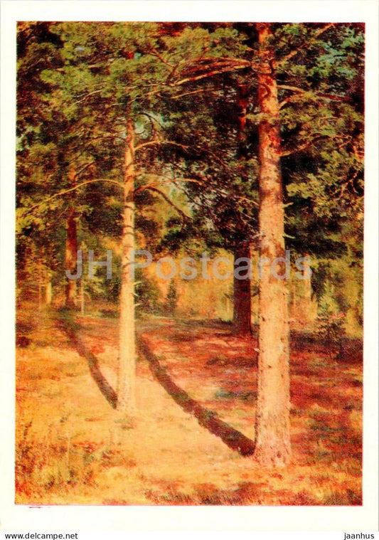 painting by I. Shishkin - Pine trees illuminated by the sun - Russian art - 1979 - Russia USSR - unused - JH Postcards