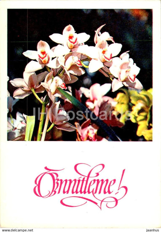 Birthday Greeting Card - orchid - flowers - 1982 - Estonia USSR - used - JH Postcards