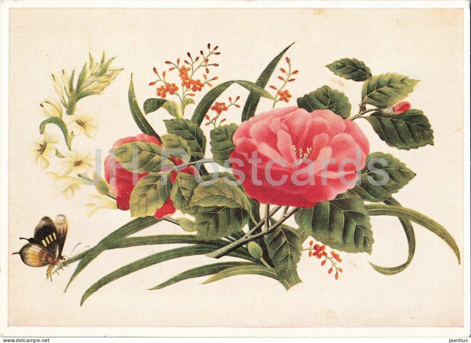 Chinese gouache painting - Blumen und Scmetterlinge - Flowers and Butterflies - Chinese art - 1963 - Germany - used - JH Postcards