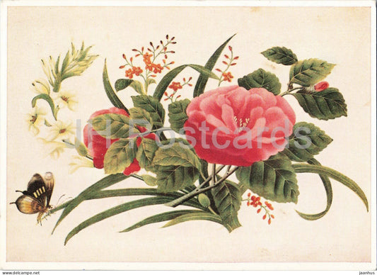 Chinese gouache painting - Blumen und Scmetterlinge - Flowers and Butterflies - Chinese art - 1963 - Germany - used - JH Postcards
