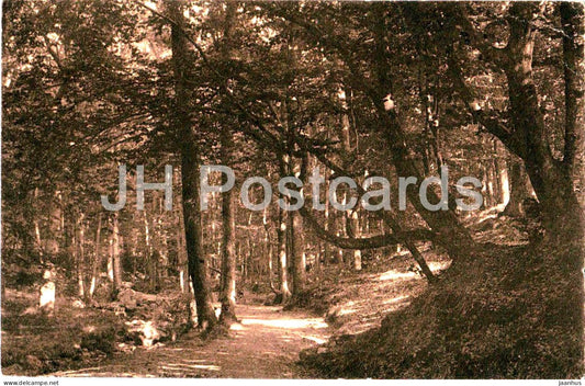 Spa - Promenade Meyerbeer - Feldpost - Briefstempel - military mail - old postcard - 1919 - Belgium - used - JH Postcards