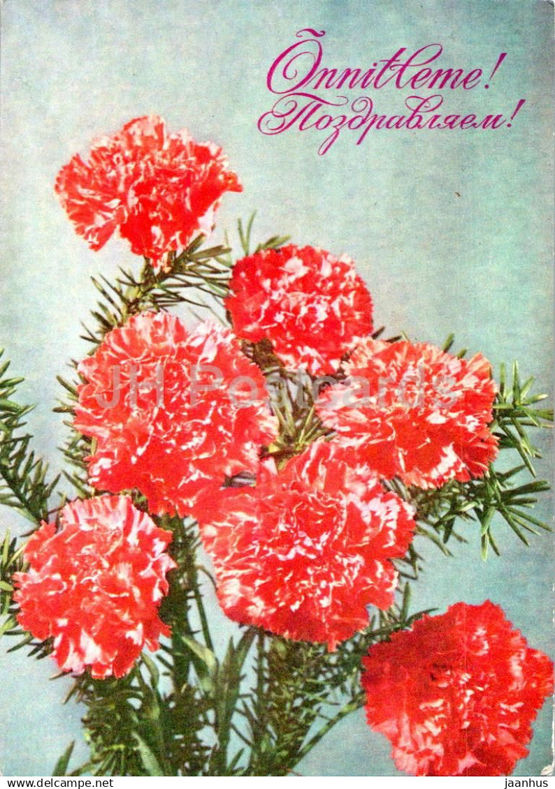 Birthday Greeting Card - Red Carnation - flowers - postal stationery - 1976 - Estonia USSR - used - JH Postcards