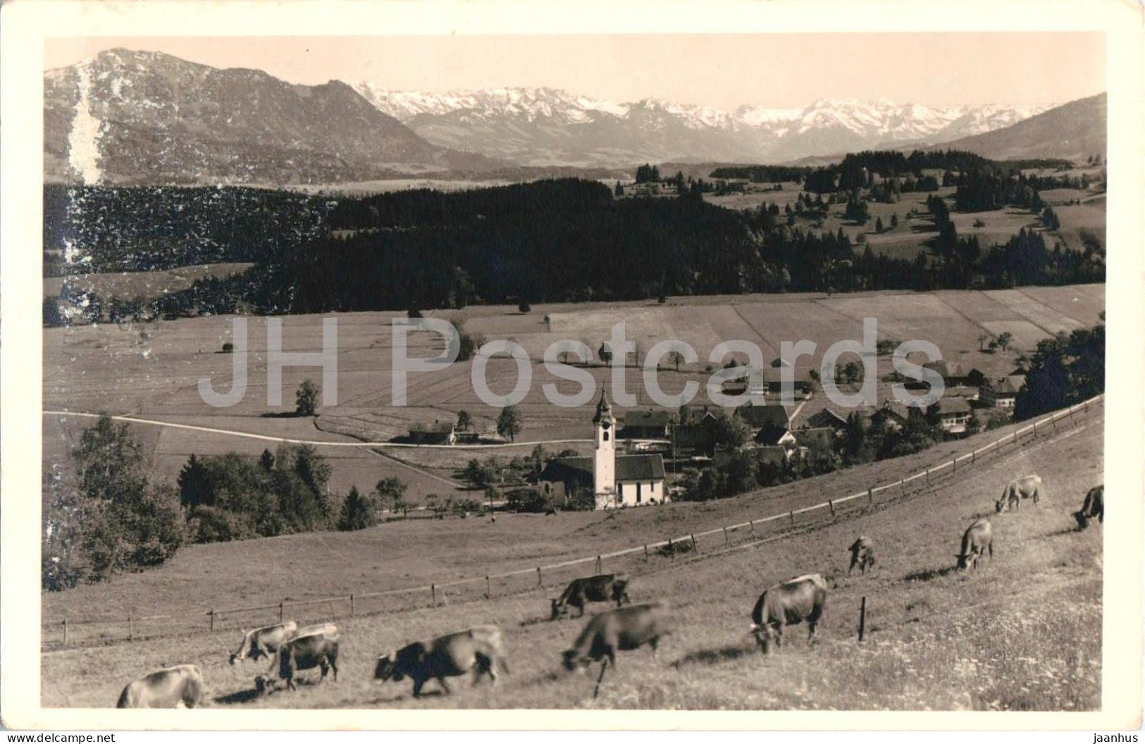 Niedersonthofen Allgau - village church cows alpine panorama - Alps mountains - photo - old postcard - Germany - used - JH Postcards