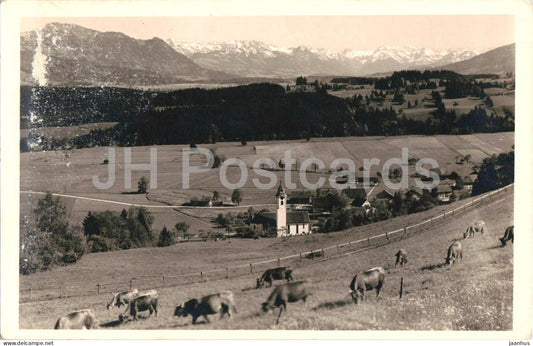 Niedersonthofen Allgau - village church cows alpine panorama - Alps mountains - photo - old postcard - Germany - used - JH Postcards