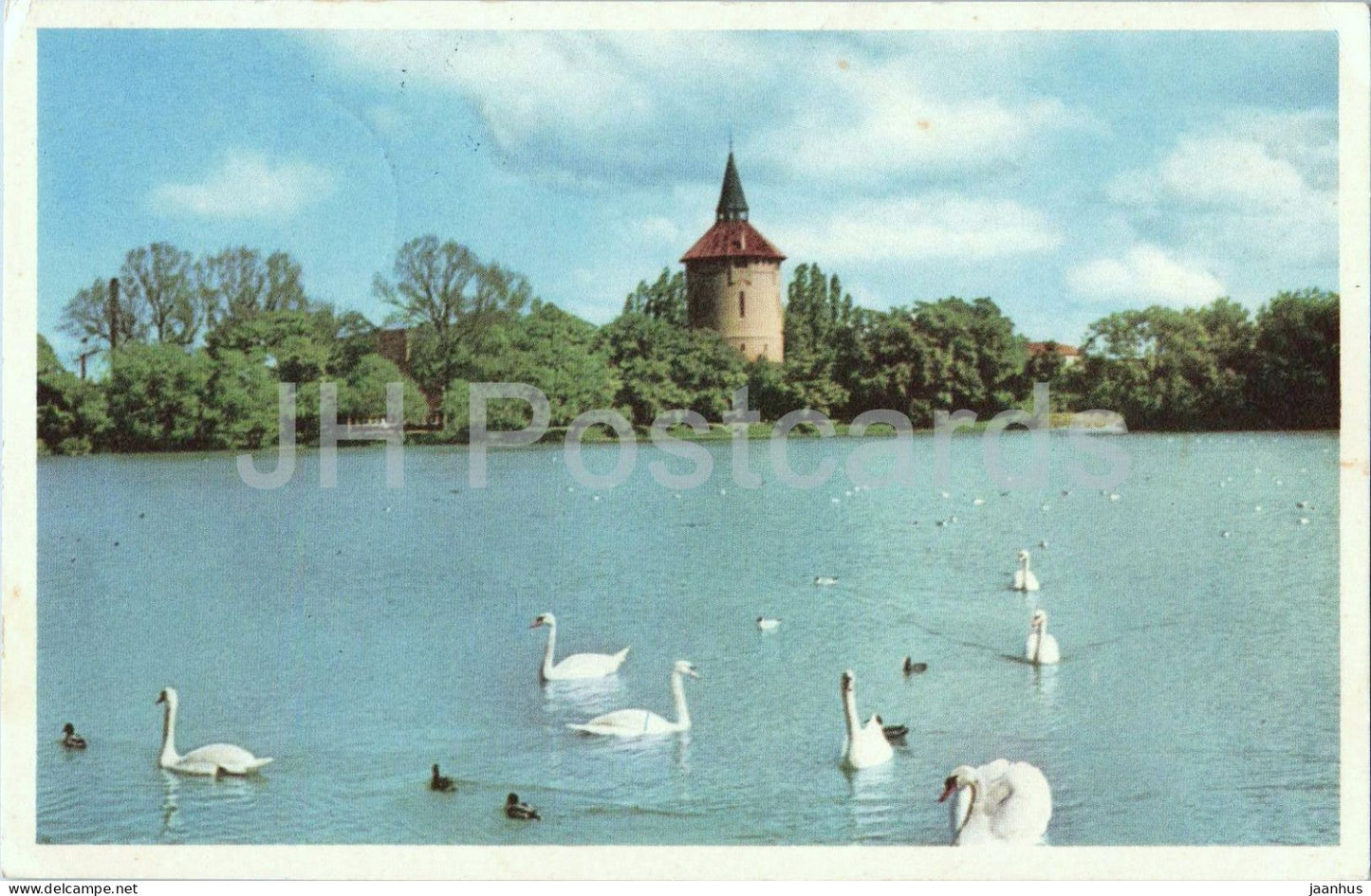 Malmo - Motiv fran Pildammarna - Motif from Pildammarna - lake - swans - 187 - old postcard - 1961 - Sweden - used - JH Postcards