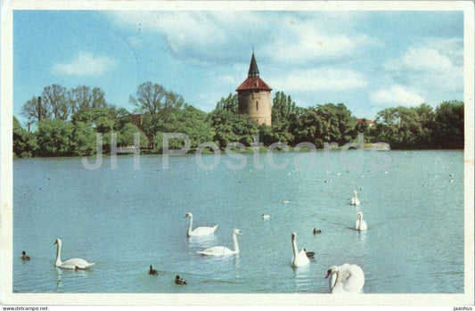 Malmo - Motiv fran Pildammarna - Motif from Pildammarna - lake - swans - 187 - old postcard - 1961 - Sweden - used - JH Postcards