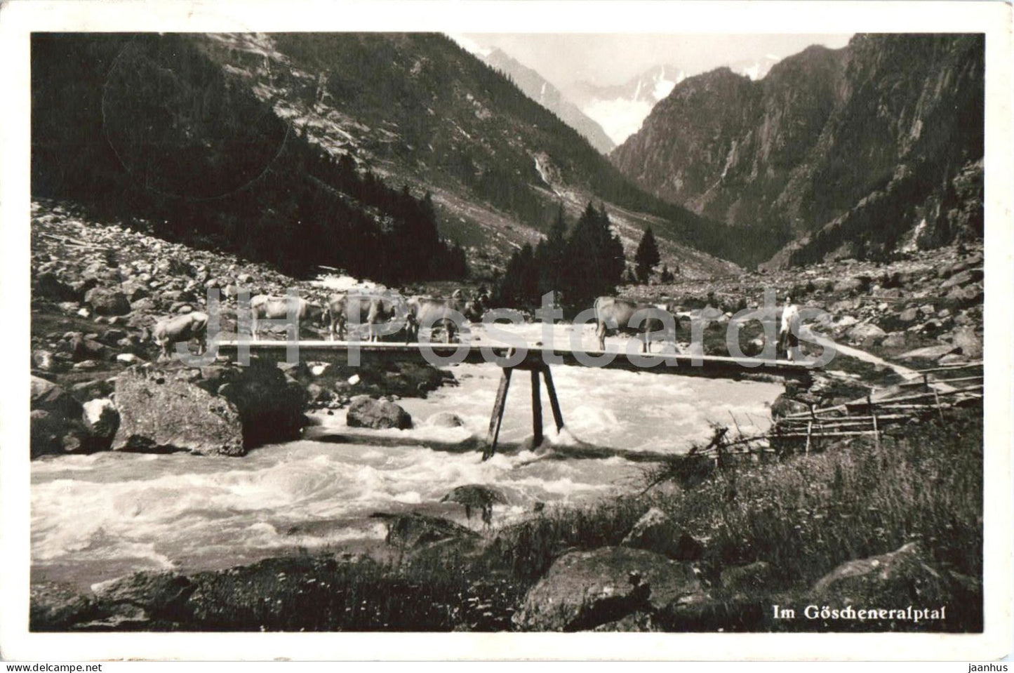 Im Goscheneralptal - Alpine Valley - mountain valley bridge cattle river - old postcard - 1951 - Switzerland - used - JH Postcards