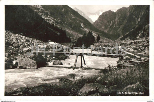 Im Goscheneralptal - Alpine Valley - mountain valley bridge cattle river - old postcard - 1951 - Switzerland - used - JH Postcards