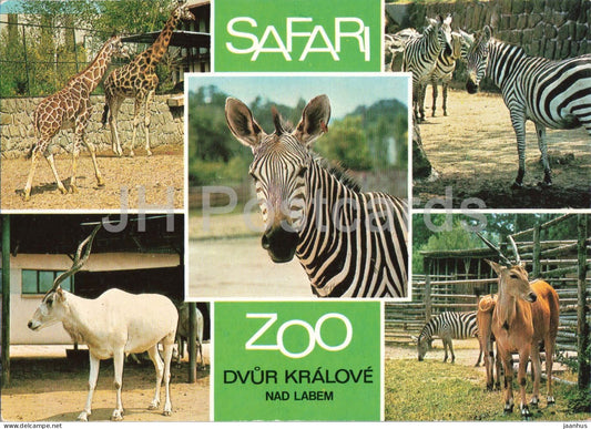 Safari Zoo - Dvur Kralove nad Labem - giraffe - zebra - antelope animals - 1986 - Czech Republic - Czechoslovakia - used - JH Postcards