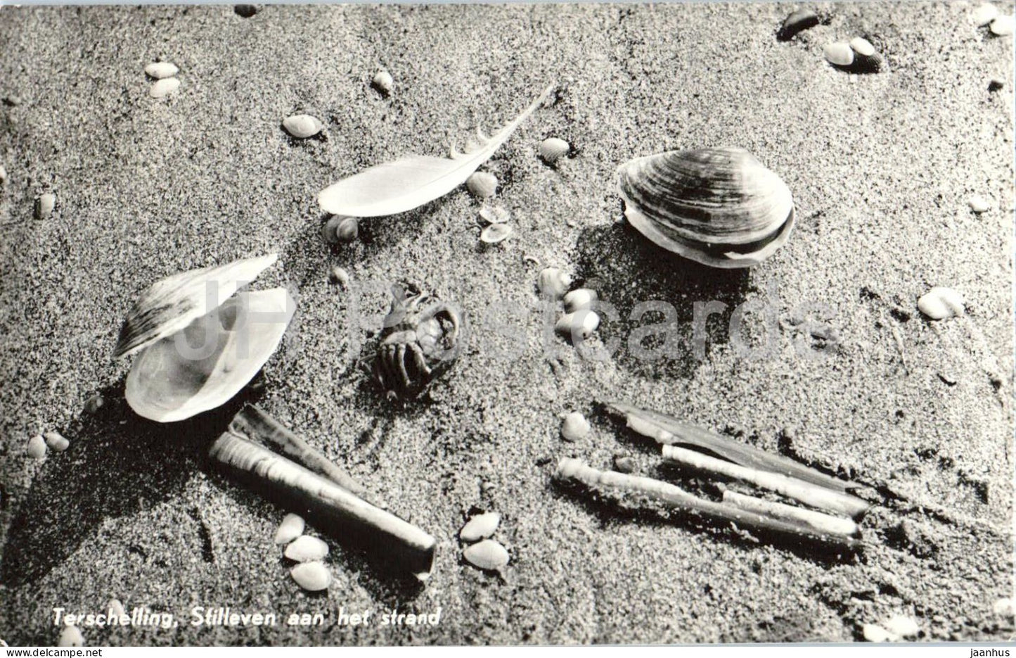 Terschelling Stilleven aan het strand - still life on the beach - shells - old postcard 160 - 1960s - Netherlands - used - JH Postcards