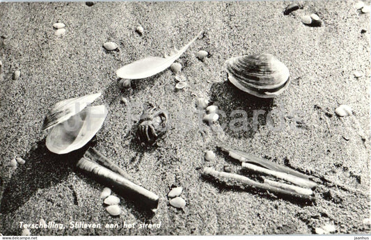 Terschelling Stilleven aan het strand - still life on the beach - shells - old postcard 160 - 1960s - Netherlands - used - JH Postcards