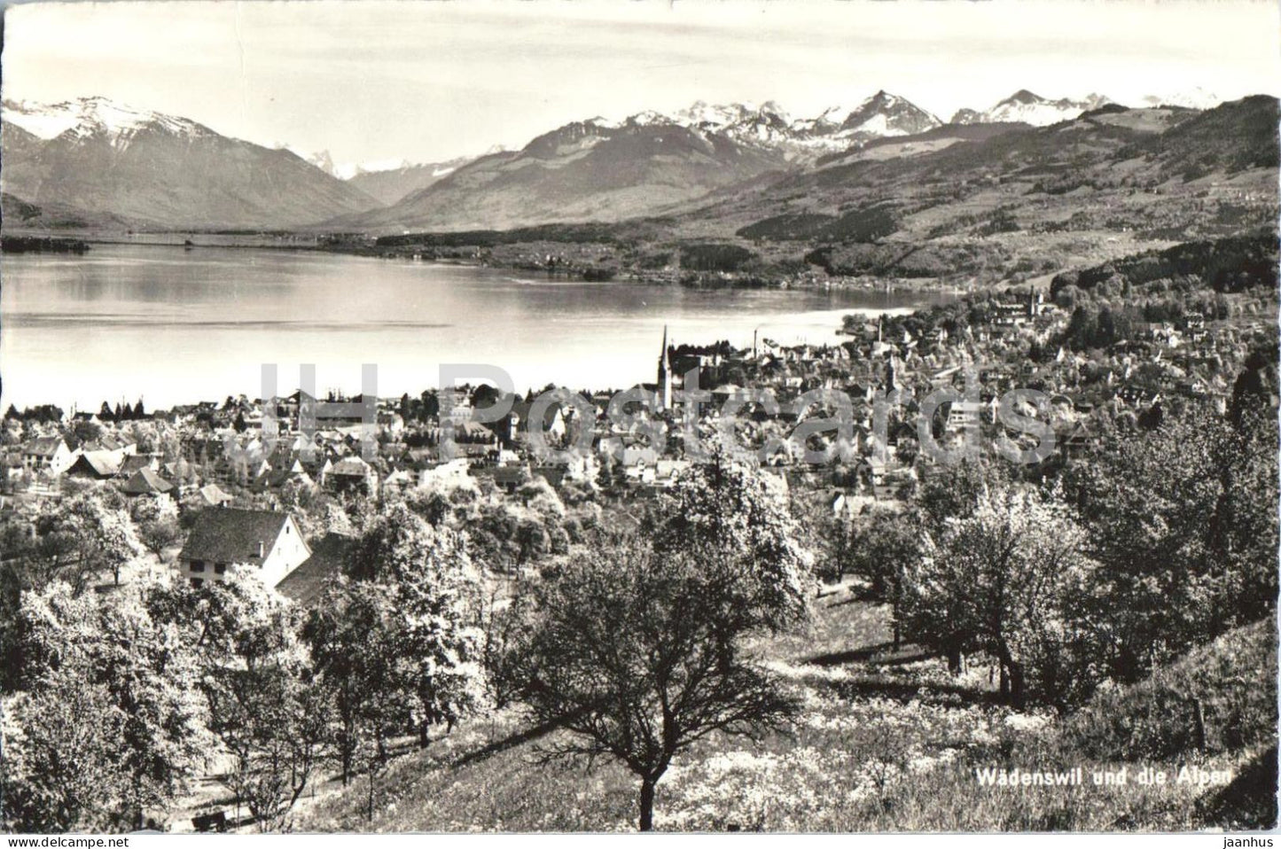 Wadenswil und die Alpen - lake - Alps - mountains - 7608 - 1961 - Switzerland - used - JH Postcards