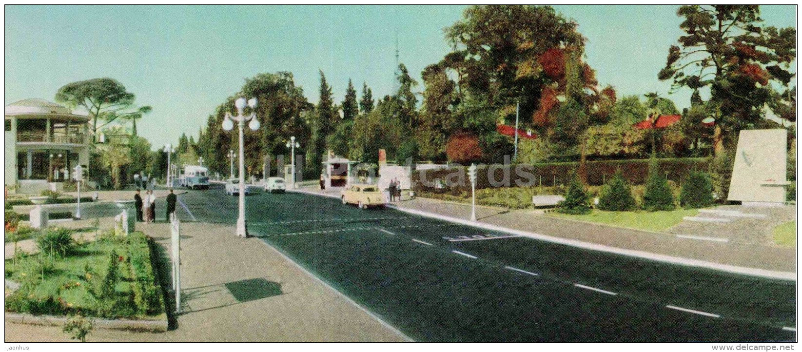 The Kurortny Prospekt - Sochi - Caucasus - 1966 - Russia USSR - unused - JH Postcards