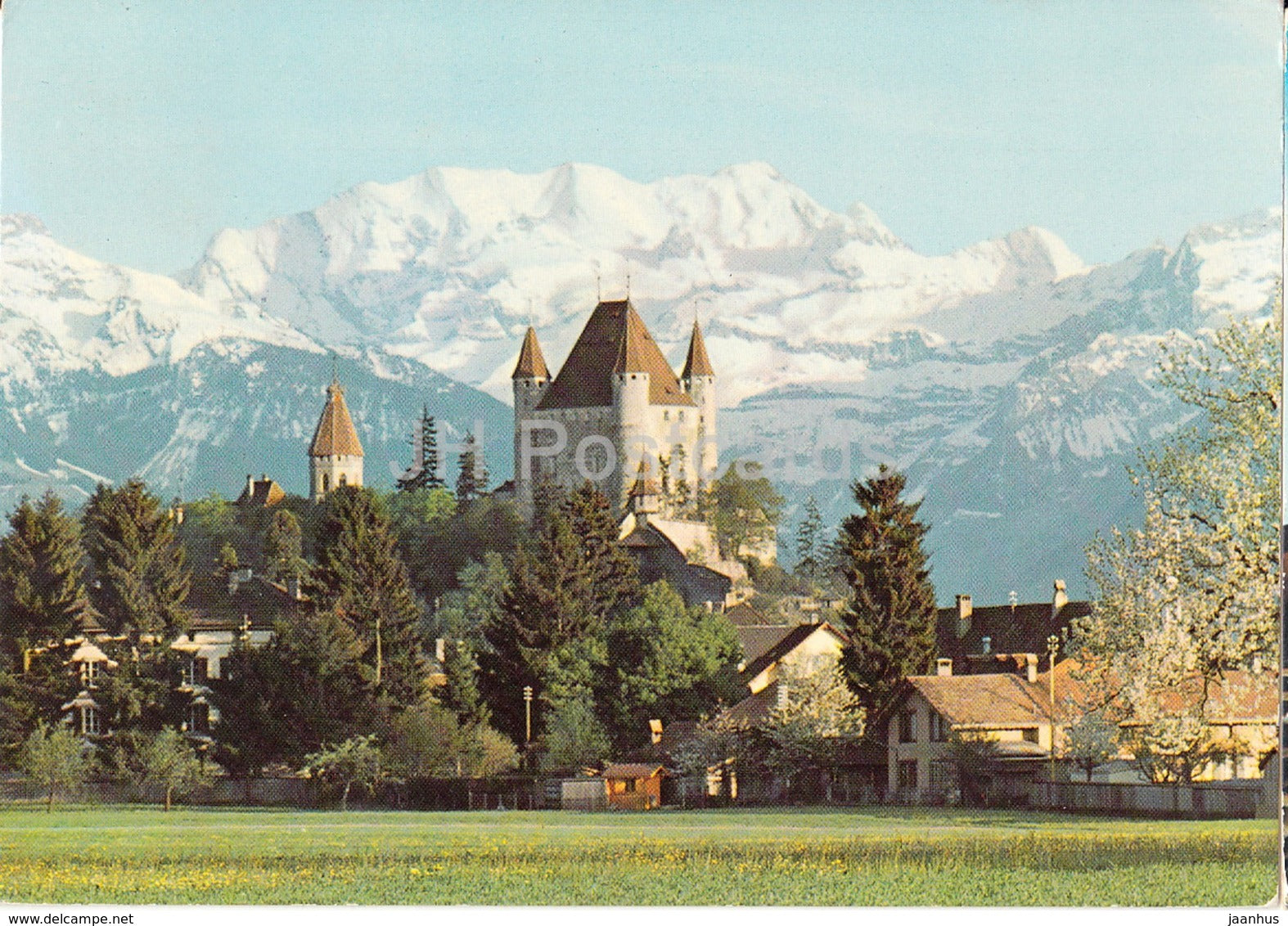 Thun - Thoune - Schloss mit Blümlisalp - castle - 8239 - Switzerland - 1977 - used - JH Postcards