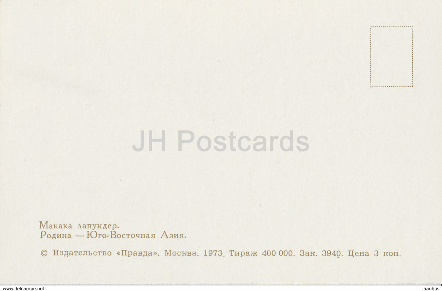 Southern pig-tailed macaque - Macaca nemestrina - monkey - Moscow Zoo - animals - 1973 - Russia USSR - unused