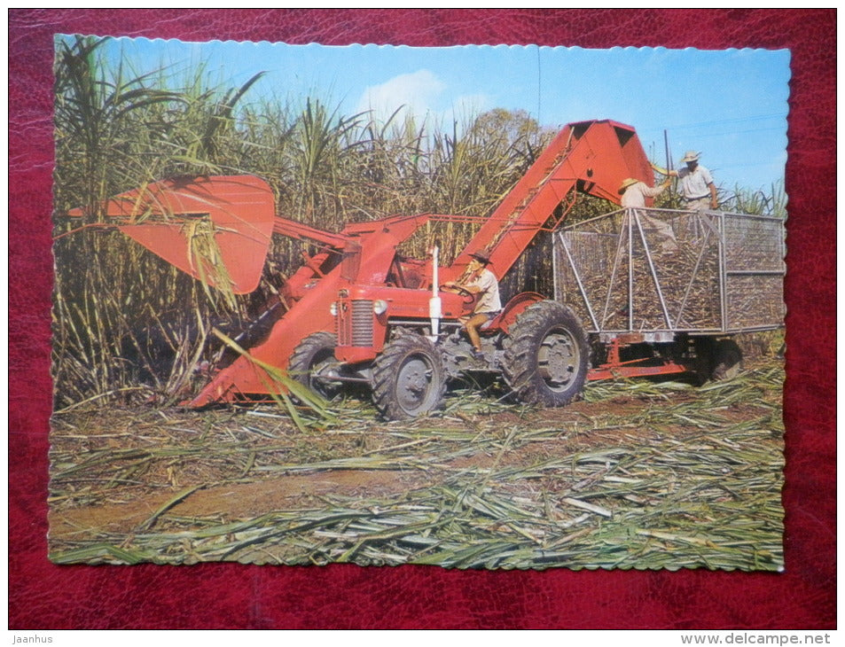 Mechanical sugar cane harvester - tractor - Australia - unused - JH Postcards
