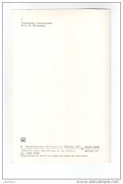 Andalusia - Tulips - flowers - 1975 - Russia USSR - unused - JH Postcards