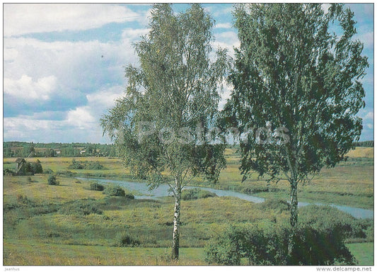 view at Sorot river - birch trees - 1989 - Russia USSR - unused - JH Postcards