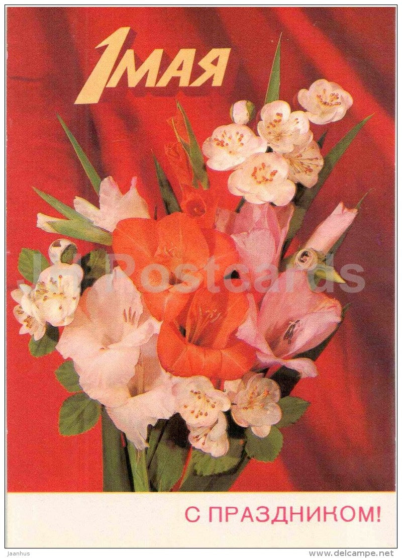 May 1 International Workers' Day greeting card - Gladiolus - flowers - 1985 - Russia USSR - unused - JH Postcards
