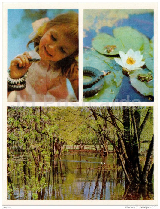 Adder - snake - girl - water lily - Nature Encounter - 1973 - Russia USSR - unused - JH Postcards