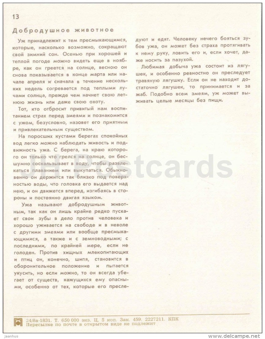 Adder - snake - girl - water lily - Nature Encounter - 1973 - Russia USSR - unused - JH Postcards