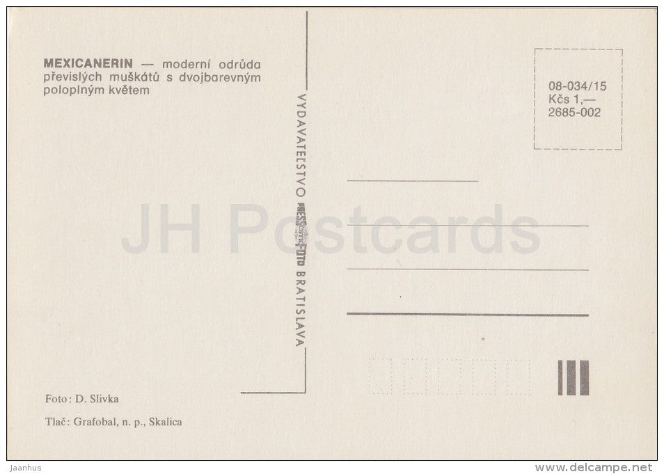 Mexicanerin - flowers - Geranium - 1985 - Czech - Czechoslovakia - unused - JH Postcards