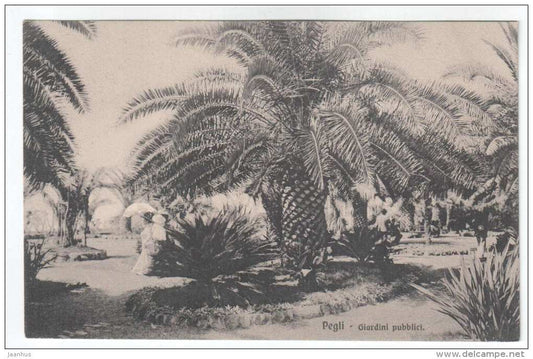 Giardini pubblici - Public Garden - Pegli - palm - 11891 - Edit. Brunner & C. - old postcard - Italy - unused - JH Postcards