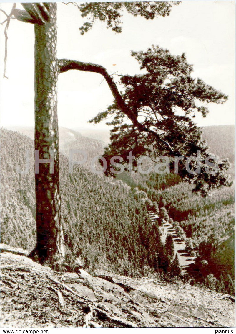 Tambach Dietharz - Blick vom Nadelohr - Germany DDR - used - JH Postcards