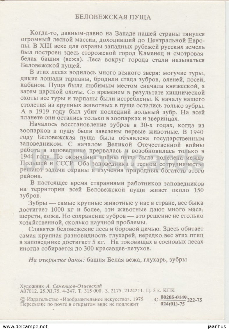 Auerhuhn - Europäischer Bison - Nationalpark Belovezhskaya Pushcha - 1975 - Russland UdSSR - unbenutzt