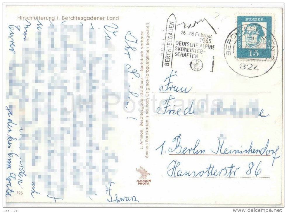 Hirschfütterung i. Berchtesgadener Land - Hirsch - deer - 795 - Germany - 1965 gelaufen - JH Postcards