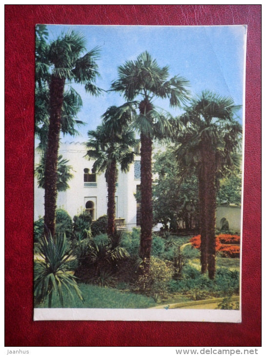 Palm grove of Rest-Home Chervony Prapor , Red Banner - Yalta - Jalta - Crimea - 1963 - Ukraine USSR - unused - JH Postcards