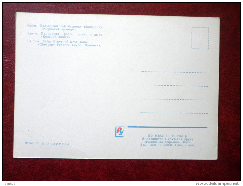 Palm grove of Rest-Home Chervony Prapor , Red Banner - Yalta - Jalta - Crimea - 1963 - Ukraine USSR - unused - JH Postcards