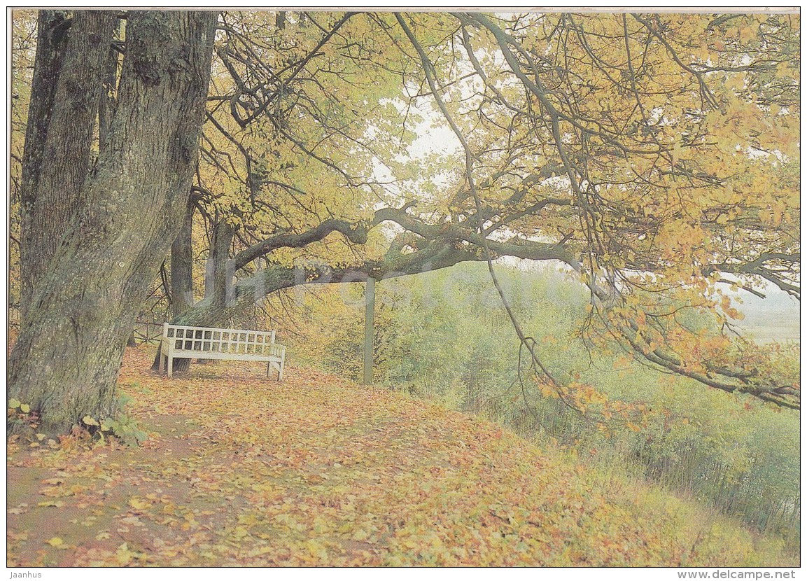 Pushkin Museum-Reserve in Trigorskoye - Onegin´s Bench - 1989 - Russia USSR - unused - JH Postcards