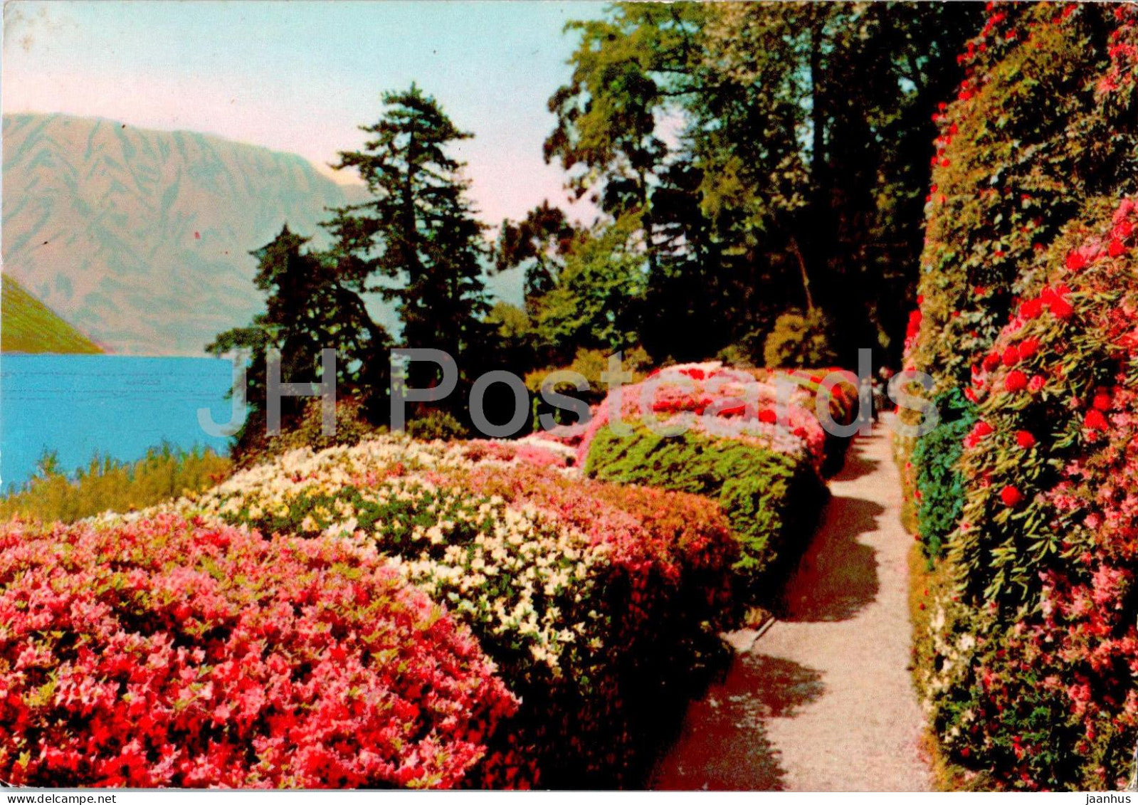 La go di Como - Villa Carlotta - Azalee in fiore - Como lake - blossom - 10 - Italy - used - JH Postcards