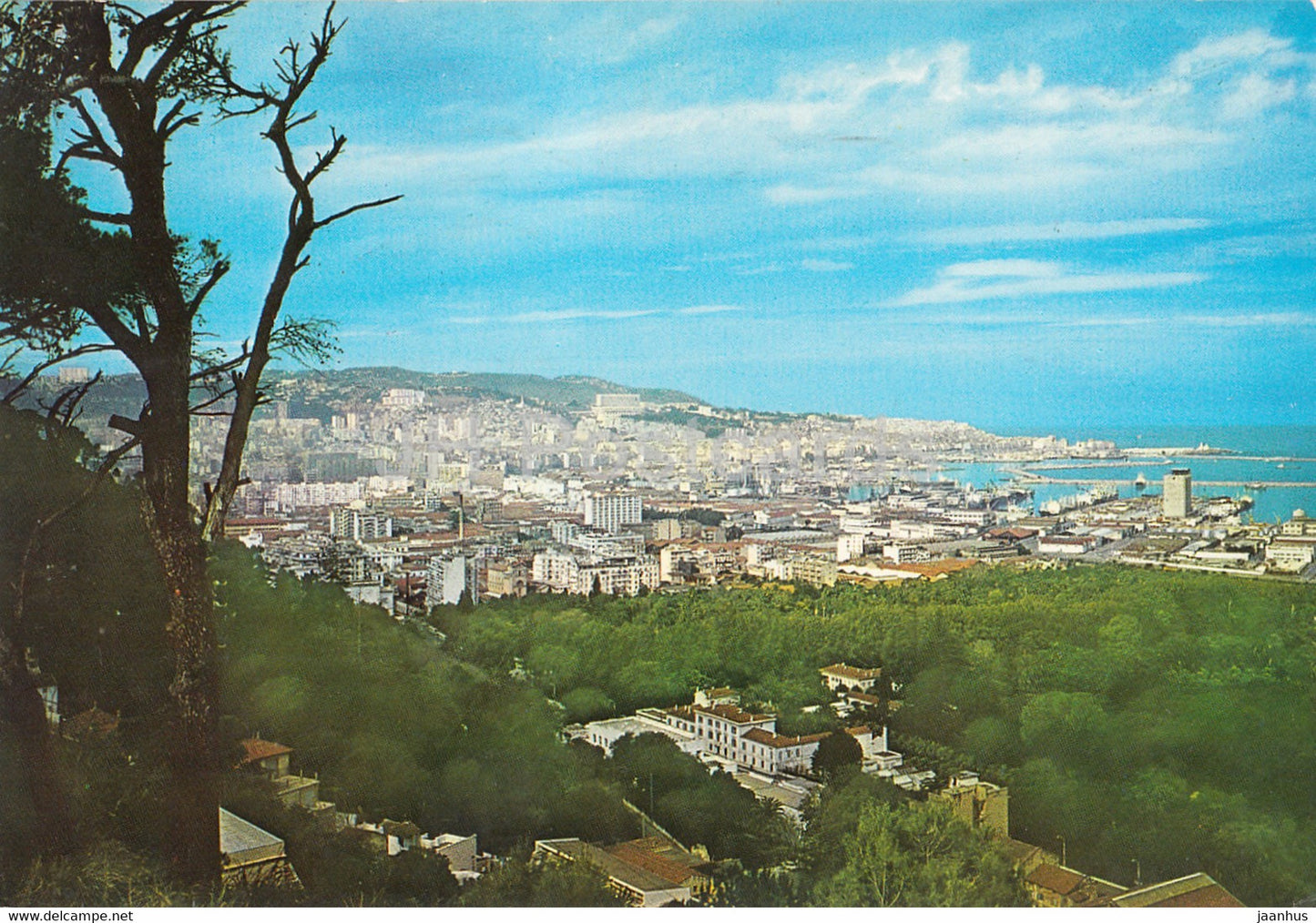Alger - Algiers - Vue Generale - 1975 - Algeria - used - JH Postcards