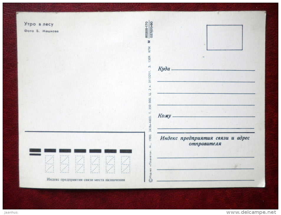 Morning in the forest - Birds - 1980 - Russia USSR - unused - JH Postcards