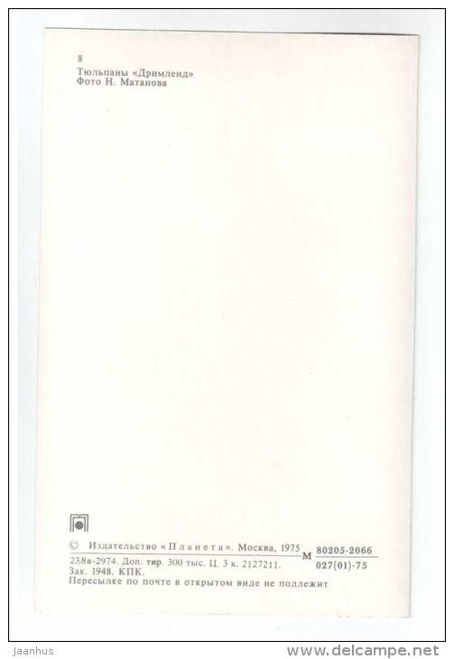 Dreamland - Tulips - flowers - 1975 - Russia USSR - unused - JH Postcards