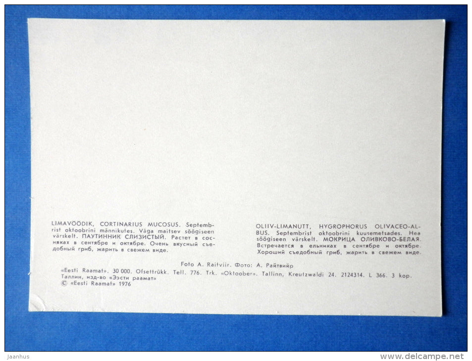 Orange Webcap - Cortinarius mucosus - Wax Cap - Hygrophorus olivaceoalbus - mushrooms - 1976 - Estonia USSR - unused - JH Postcards