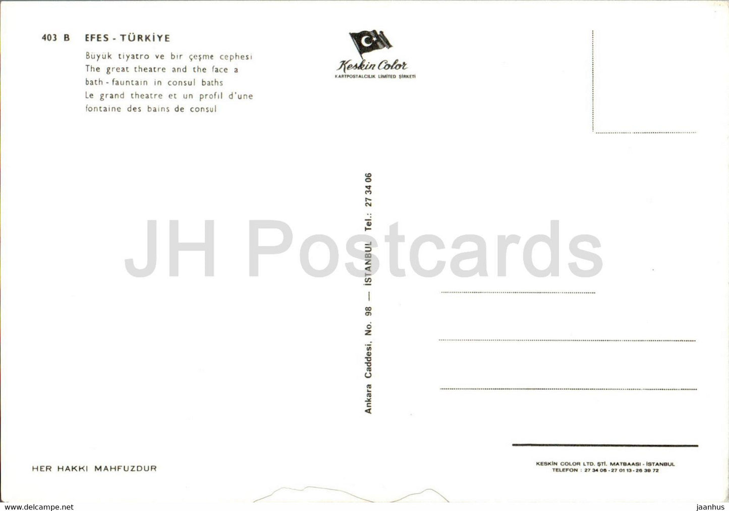 Ephèse - Efes - Le Grand Théâtre et le visage d'une fontaine de bain dans les bains consuls - monde antique - 403 - Turquie - inutilisé