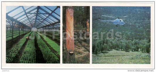 collection of resin - forestry - helicopter - Karelia - Karjala - 1985 - Russia USSR - unused - JH Postcards